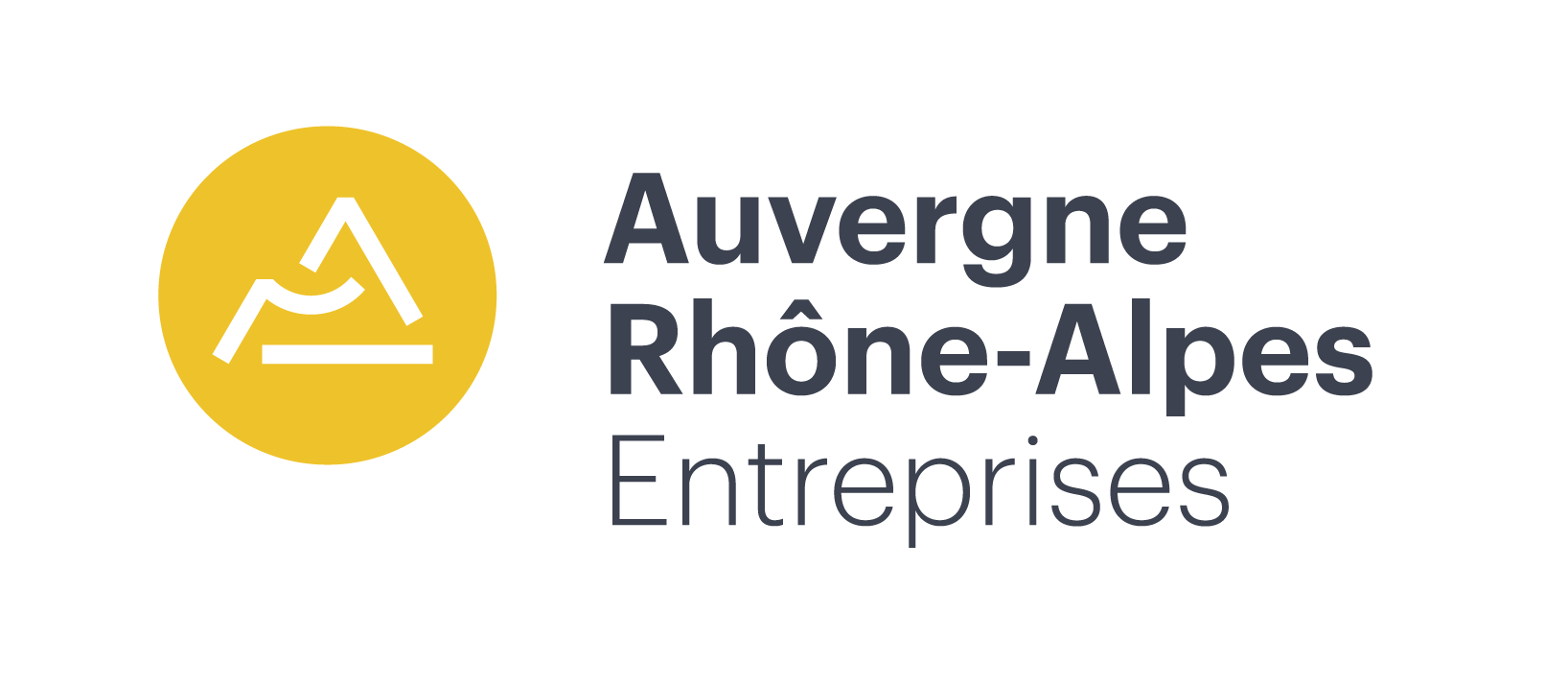 logo-auvergne-rhone-alpes-entreprises-jaune-rvb_2017-09-21_17-38-7_448